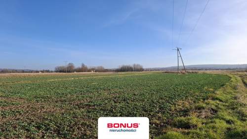 Działka 45a, Budziwój