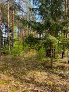 Białobrzegi, dom na sprzedaż 100 m2