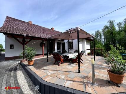 Dom z ogrodem Gwoździce