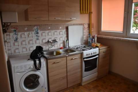 Mieszkanie do wynajęcia, 32 m2, Żyrardów