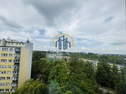 LSM z panoramicznym widokiem