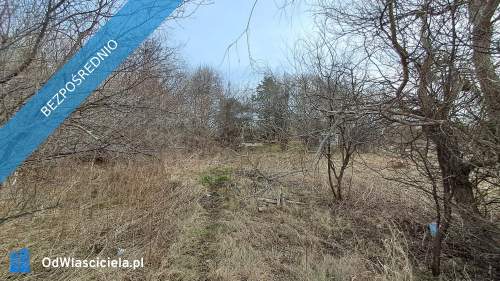Syndyk sprzeda - udział 1/2 w prawie własności nieruchomości...