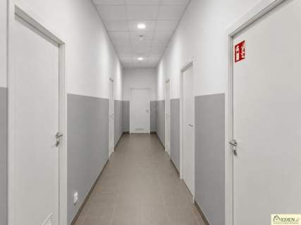 Do wynajęcia Hala z pomieszczeniami biurowymi 1600m2 400m2 w...