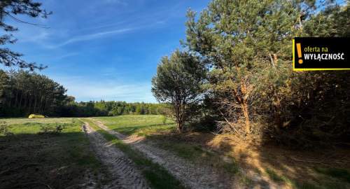 1,67 ha gruntu w cenie 40 000 zł