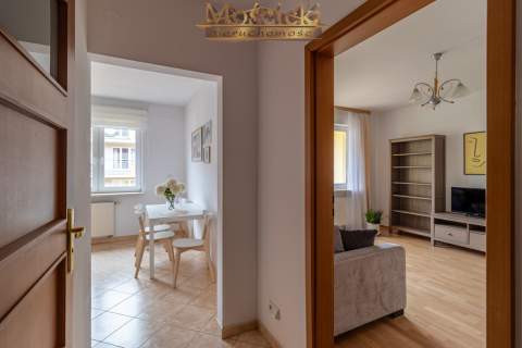Wynajem przestronne 38 m Kabaty Al. Kasztanowa