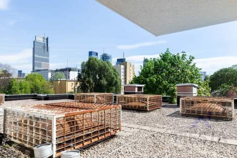 3 pokojowe przy ul. Leszno, Warszawa -Wola