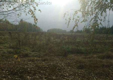 Wola Mrokowska, teren inwestycyjny, 5,5ha usługowa