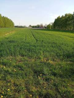 Działka budowlana na sprzedaż, 10982 m2, Piotrków Trybunalski