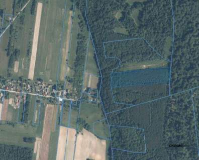 Działka inwestycyjna Cisów 22 500 m 