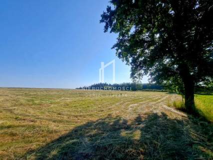 WIDOKOWA DZIAŁKA BUDOWLANA OTOCZONA ZIELENIĄ LASÓW I PÓL, ŚWI