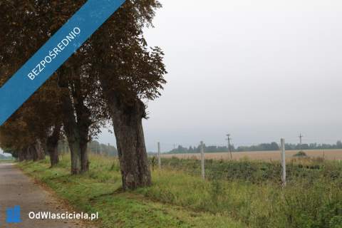 OKAZJA Tanie, bezczynszowe mieszkanie 50 m.kw. do remontu. 12