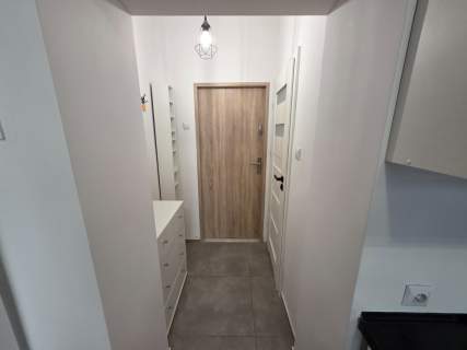 Kawalerka Wrocław Śródmieście Ołbin