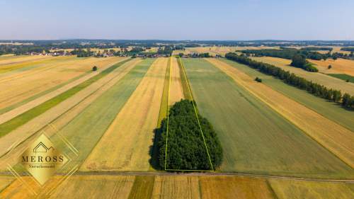 Działka Zamoście-Kolonia