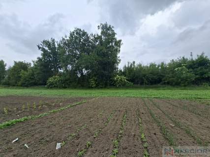 Działka budowlana Stok Lacki, ul. Siedlecka