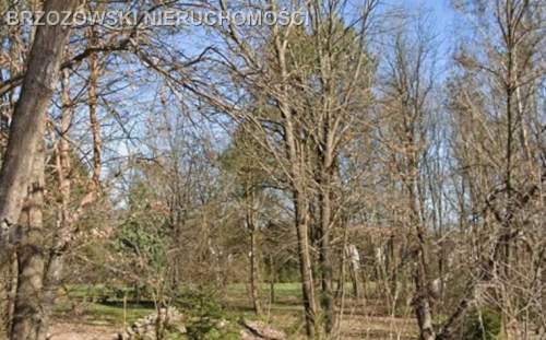 Marki, 9600 m2, MPZP, mieszkaniowa, dwulokalowa