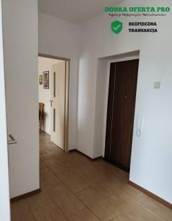 Przytulne 2 pokoje w świetnej lokalizacji