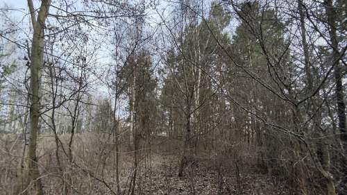 Działka 3000m2 Wielopole, gm. Olesno