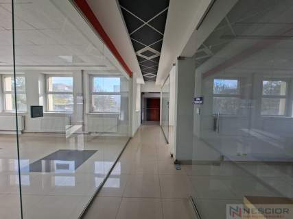 Lokal użytkowy 296,55 m ul. Chrobrego 17
