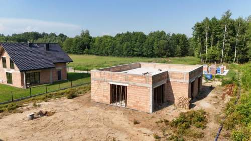 Dąbrówka k. Bochni Dom w Petuniach 2