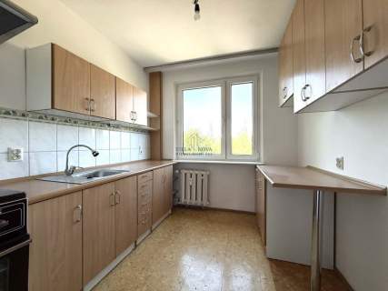 ok. Skrzydlatej 2-pok/Rozkład/Balkon