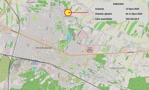 Budowlana i las, Mińsk Mazowiecki, licytacja