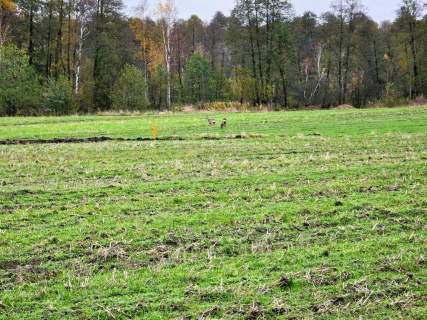 Działki budowlane Serock, 1,5 km od jeziora Firlej