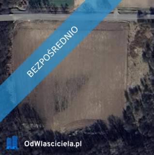 Na sprzedaż działka 2,79 ha Zielona Góra