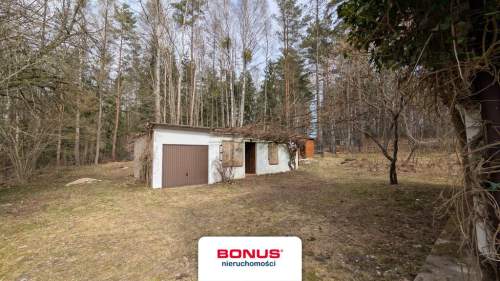 Prywatna Enklawa w Sercu Lasu 1,29 ha Działki