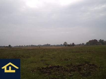 Działka w Całowaniu