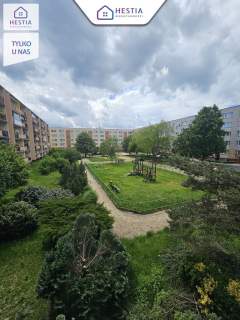 Zawadzkiego 3 pokoje z balkonem 1 piętro 1