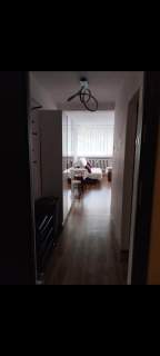 Katowice tysiąclecie przy żyrafie