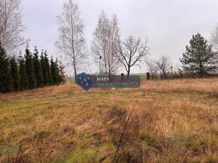 Dom z dużą działką i budynkiem pod działalność