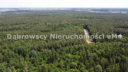 Działka na sprzedaż, 10240 m2, Niewodnica Kościelna
