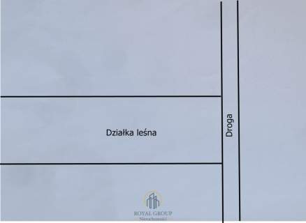 Działka leśna