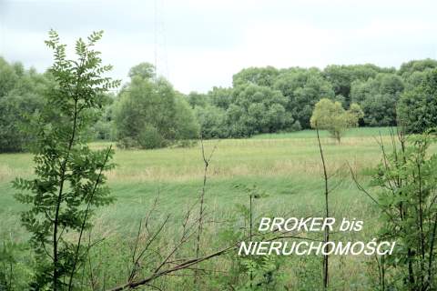 DZIAŁKA SIEDLISKOWA 5700 mkw. W BOLEMINIE