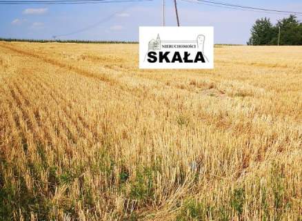Czaple Wielkie / Gołcza dz. budowlana 11 ar