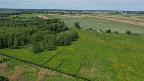 Grunty rolne, działki - Kolno