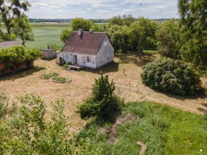 Siedlisko bez sąsiadów 4400 m2 prywatności Stary sad i wę