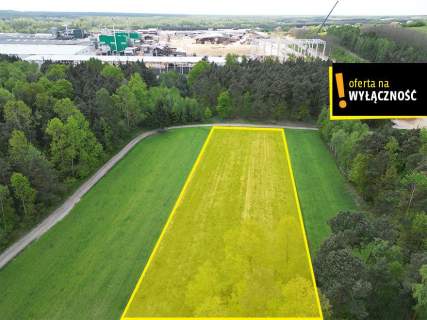 DZIAŁKA ROLNA ŚWIDNO GM. KRASOCIN 3992 M2