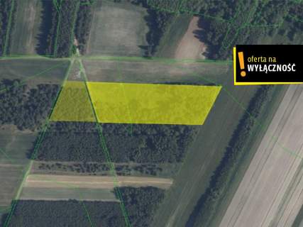 1,67 ha gruntu w cenie 40 000 zł