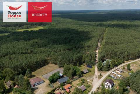 Klimat i ogromny potencjał w Borach Tucholskich