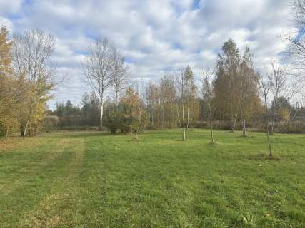 DZIAŁKA Z KLIMATEM - STAW, ZIELEŃ, SPOKÓJ