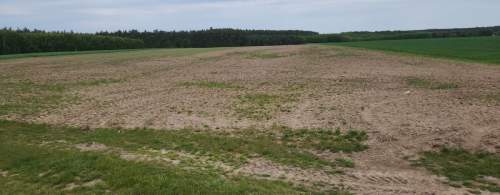 TANIO od ROLNIKA w ok.KOŁOBRZEG 3,8hA na DZIAŁKI.Bez PROWIZI