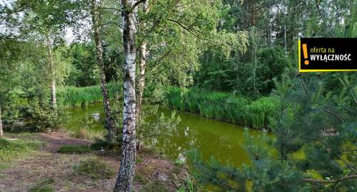 Działka ze stawem i lasem koło Solca Zdroju