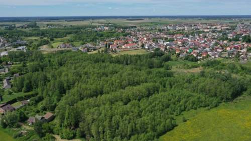 Działka rolno-leśna w Kolnie - 1,1850 ha