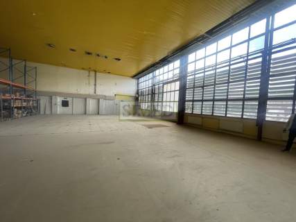 Wys.6m,magazyn,produkcja,parking,plac manewrowy,24