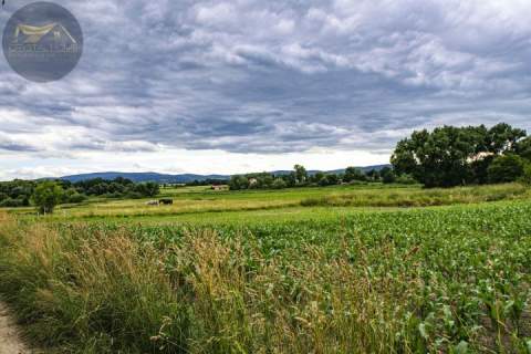 DZIAŁKA BUDOWLANA W GRODZISZCZU/ WIDOK NA GÓRY