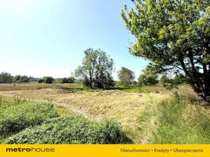 Działka rolka/łąka 2720 m2 w Zabrzu - Rokinicy