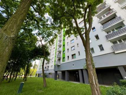 Mieszkanie na sprzedaż, 50 m2, Sosnowiec