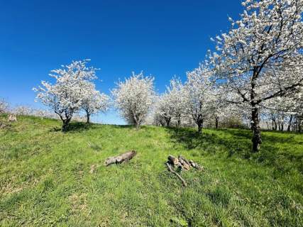 Prawie pół hektara pod Ślężą Wyjątkowa 4142 m2